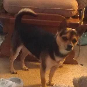 Meet your Posher, Marlene